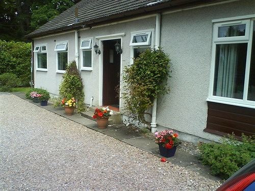 Homagen Bed and breakfast 3*